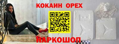индика Можга