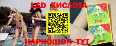 индика Можга
