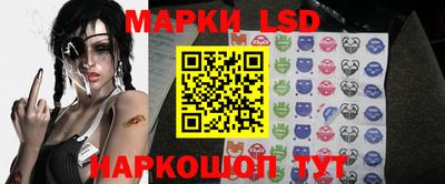 индика Можга