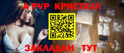 СК Моздок