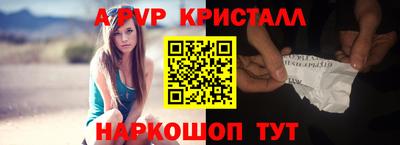 индика Можга