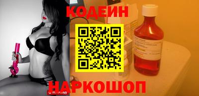 индика Можга