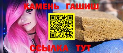 индика Можга