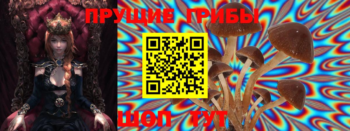 Псилоцибиновые грибы Magic Shrooms Сибай